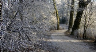 Фотопідбірка з красивими зимовими пейзажами (157) (136 фото)