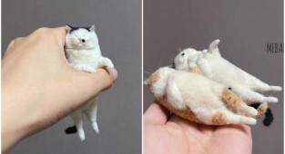 Милота дня: японская художница делает котов из войлока (30 фото)