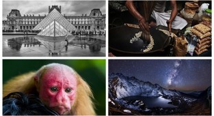 Победители конкурса Travel Photographer of the Year - 2019 (21 фото)