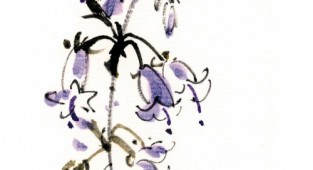 Japanese watercolors.Collection of Flowers (42 works) (part 2)
