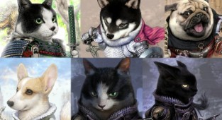 Japanese artist depicts pets as noble knights (23 photos)