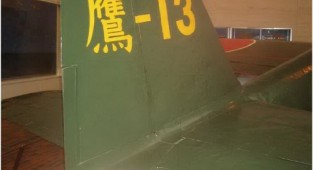 Japanese dive bomber D4Y Suisei Comet Judy (31 photos)