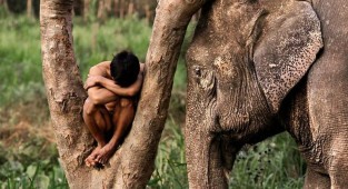 Люди и животные: 50 потрясающих фотографий Стива МакКарри (51 фото)