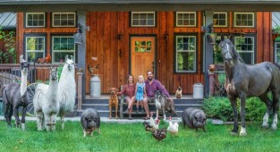 18 душевных семейных фото с разных ферм, на которых запечатлено очень много питомцев (19 фото)