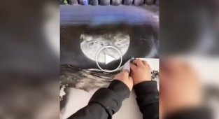 Неймовірна картина без звичних інструментів художника