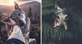 Tired of the #FollowMeTo flash mob? The photos of this guy with his dog are a thousand times better! (21 photos)