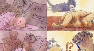Художник показал, как изменилась его жизнь после появления в доме кота (11 фото)