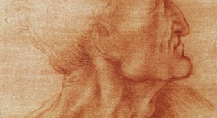 Картины художника Леонардо Да Винчи (37 работ)