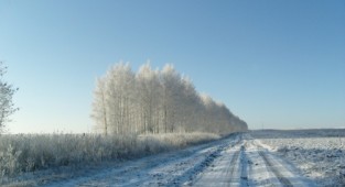 Winter photos (31 photos)