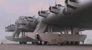 Giant aircraft "KR-7" (16 photos)