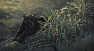 Fauna in the paintings of Canadian artist Denis Mayer Jr. (25 works)