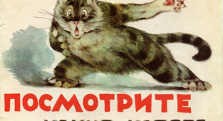 Funny classification of cats from a Soviet artist (13 photos)