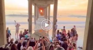 On Malibu Beach in Los Angeles, photographers gather twice a year to see this beauty