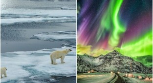 Арктика: пейзажи, от которых захватывает дух (24 фото)