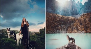 Cute doggies in the photographs of Kristina Kvapilova (26 photos)