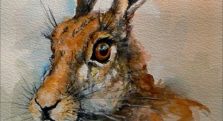 Картины животных / animal paintings (36 работ)