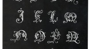 Ornamental Typography (31 робіт)