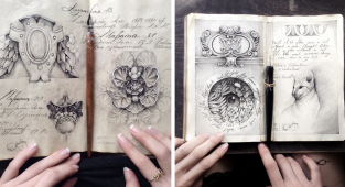 The artist's notebook reveals its secrets (43 photos)