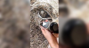 Художник та степлер