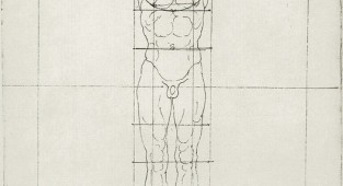 Body proportions (88 works)