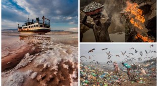 Эта хрупкая планета: победители конкурса экологической фотографии (19 фото)