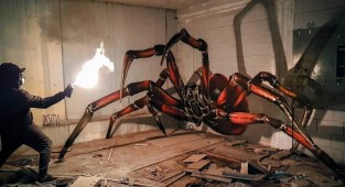 Планета насекомых: сверхреалистичные 3D-граффити Серхио Одейта (10 фото + 1 видео)