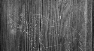 В норвежской деревянной церкви обнаружили средневековые граффити (4 фото)