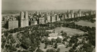 Photo album "New York" early-mid 20th century (98 photos)