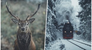 Gorgeous northern landscapes through the lens of a Belgian photographer (23 photos)