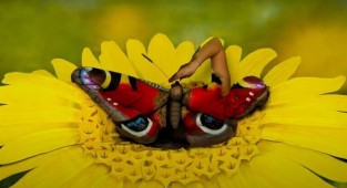 Невероятная иллюзия с помощью обнаженного тела (6 фото + 1 видео)