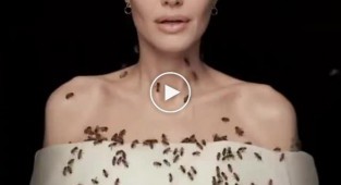 Анджелина Джоли снялась c роем пчел для National Geographic