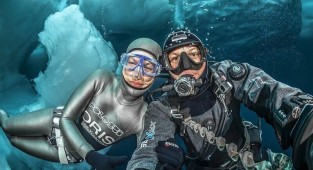 Дайверы сделали потрясающие снимки под айсбергами (11 фото)