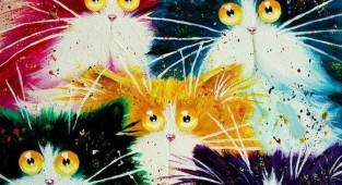 Радужные кошки от Ким Хаскинс (19 фото)