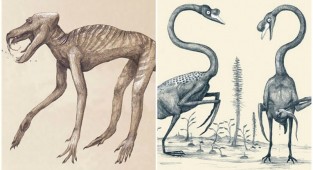 Как бы выглядели современные животные глазами палеонтологов будущего (5 фото)