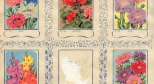 Vintage flowers (5 works)