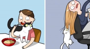 19 кумедних коміксів, які чудово зрозуміє кожен, у кого вдома живе кіт (21 фото)
