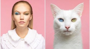 17 фото людей и кошек, которые очень похожи друг на друга (22 фото)