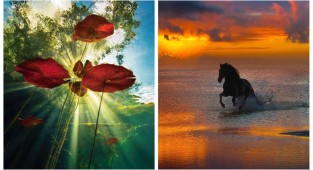 Ода природі: чудові знімки Пепе Сохо (36 фото)