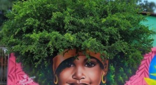 Бразильский уличный художник рисует женские портреты, используя деревья в качестве волос (11 фото)