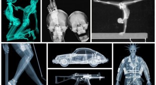 Мир в рентгеновских лучах - вид искусства, где видна изнанка бытия (36 фото)