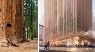 Будущее мегаполисов: вдохновленные природой здания от японского архитектора (13 фото)