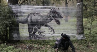 Cling film as a canvas for graffiti in the forest (6 photos + 1 video)