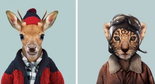 Этот художник одевает животных в человеческую одежду (21 фото)