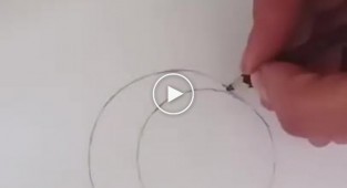 Как легко нарисовать кота