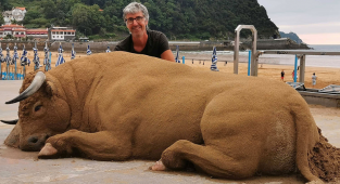 Художник делает из песка почти настоящих животных (39 фото)