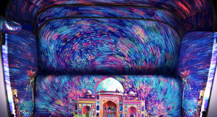 Дизайнери з Індії перетворюють салони таксі на круті арт-об'єкти (23 фото)