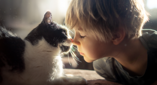 Очаровательные фотографии дружбы мальчика с кошками (20 фото)