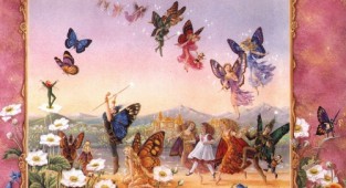 Fairy tale fantasies SHIRLEY BARBER