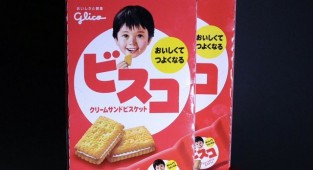 A Japanese man creates real works of art from food packaging (30 photos)