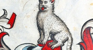 Художники средневековья не умели рисовать кошек (10 фото)